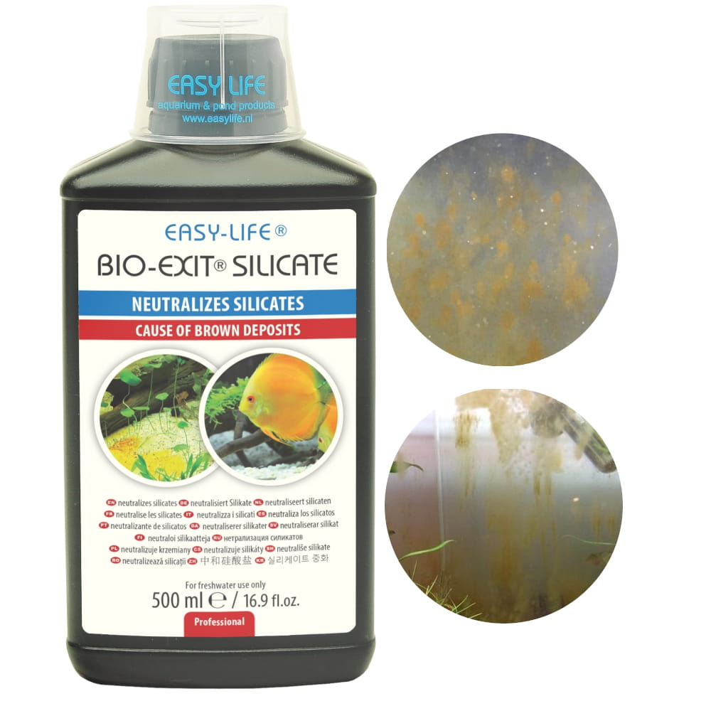 silicate exit 500 2.jpg